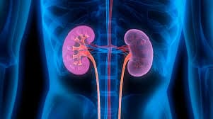 Chronic Kidney Disease Support