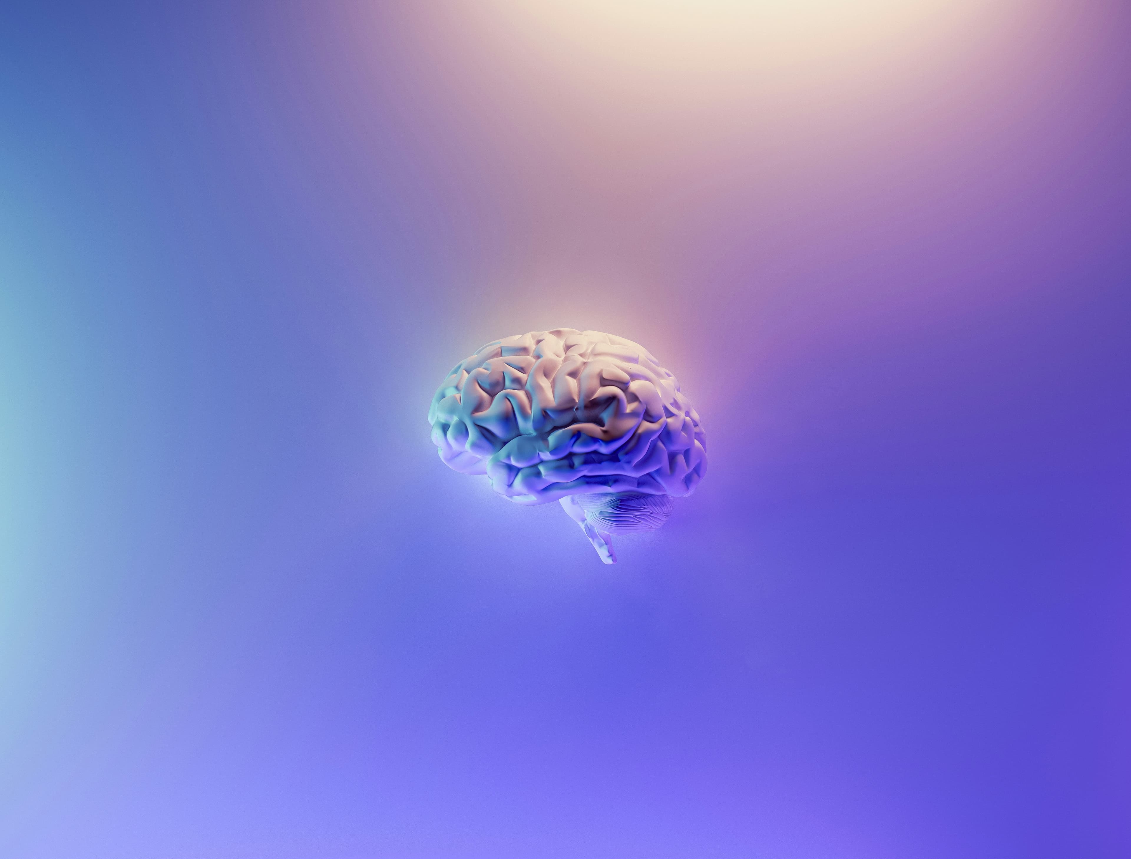 Brain Fog & Forgetfulness